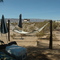 Back Yard 2005