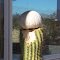 Cactus Jelly 2012