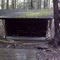 FLT M13 11.3 mi - Moss Hill Lean-to, 9x14' interior, with picnic table, fire ring, and outhouse