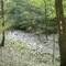 Goundry Hill State Forest