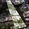 FLT M13 14.9 mi - Puncheon, 12' long, 4 4x4s on 4x4 sills, 2.5' to drainage