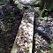 FLT M13 15.4 mi - Puncheons, 39' long, 2 2x10s on 4x4 sills