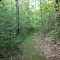 Old Road