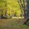 Autumn in NY