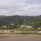 Escondido nurseries