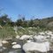 Wilderness Gardens Preserve