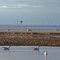 Windmills on the shore of Egmond, The Netherlands