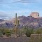 Kofa National Wildlife Refuge. Castle Dome Mountains portion
