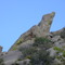 albuquerque, high desert, el lagarto