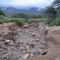 Water in arroyo, Sandia foothills
