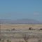 "Sleeping Lady" mountains