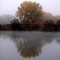 Foggy Reflection