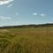 Panorama view of Osprey Nest