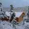 Wonderful Views in Ruidoso mountains - Alpine Escape cabin