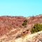 Colors on Turtleback mountain path, TorC, NM, USA