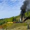 Cumbres & Toltec RR on the way to Antonito I