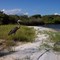 Johnson's Beach