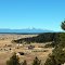 Pikes Peak from Homestead Nature Park