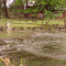 African Birds in Tulie Irrigation