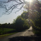 Sunlight On The Road
