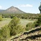 Alamocito Canyon