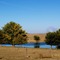 Changing colors at pond near Ned Houk park