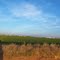 Clovis, New Mexico