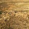 Hachita Ghost Town