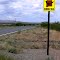 New Mexico Birding Trail, Hachita, New mexico