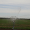 Artesia, Irrigation fields