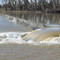 Albuquerque Diversion Dam