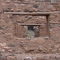 Old Pueblo