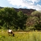 Common scene along the Jemez River