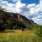 Jemez Valley horse