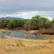 Western New Mexican river