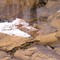 cliff dwellers
