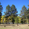 Twin Springs TH