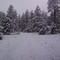 Light Snow at Timberlake Ranch