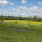 Natchez Trace Parkway near Tupelo, MS