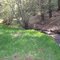 Stream, Apache Canyon