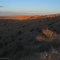 The Burning Bush - Rio Rancho NM