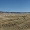 Animus Valley