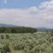 Carbondale - Red Hill Trail - Jul 2005