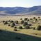 Where the Gila Wilderness Meets the Plains of San Augustin