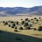 Where the Plains of San Augustin meet the Gila National Forest