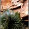This is my home... do you like my walls?       (near Mimbres valley, NM)