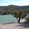 Bear Canyon Reservoir, 2 Miles North of Mimbres,New Mexico