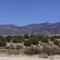 New Mexico On US 180