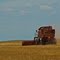 NM Highway 156 Combine
