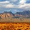 Towering Organ Mountains